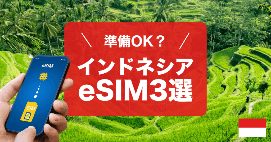 インドネシア・バリ島で使えるおすすめのeSIM3選をご紹介します！