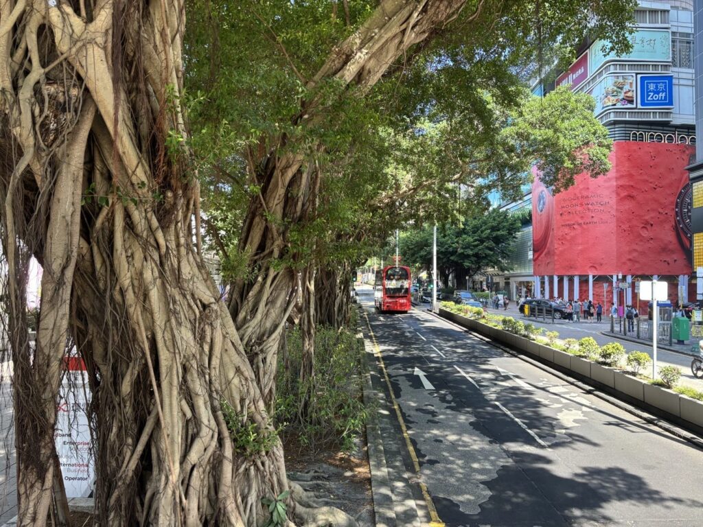 2024年【香港ひとり旅】⑤ついに最終章！マニングスでお土産ハント